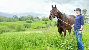 Thoroughbred Aftercare Alliance Success Story: Home at Last for Galerio